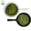 Moringa Powder Organic Extract For Sale